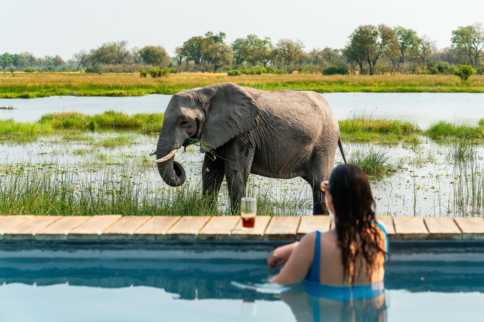 Botswanas Okavango Delta — uberørt villmark, mokoro og privatkonsesjoner