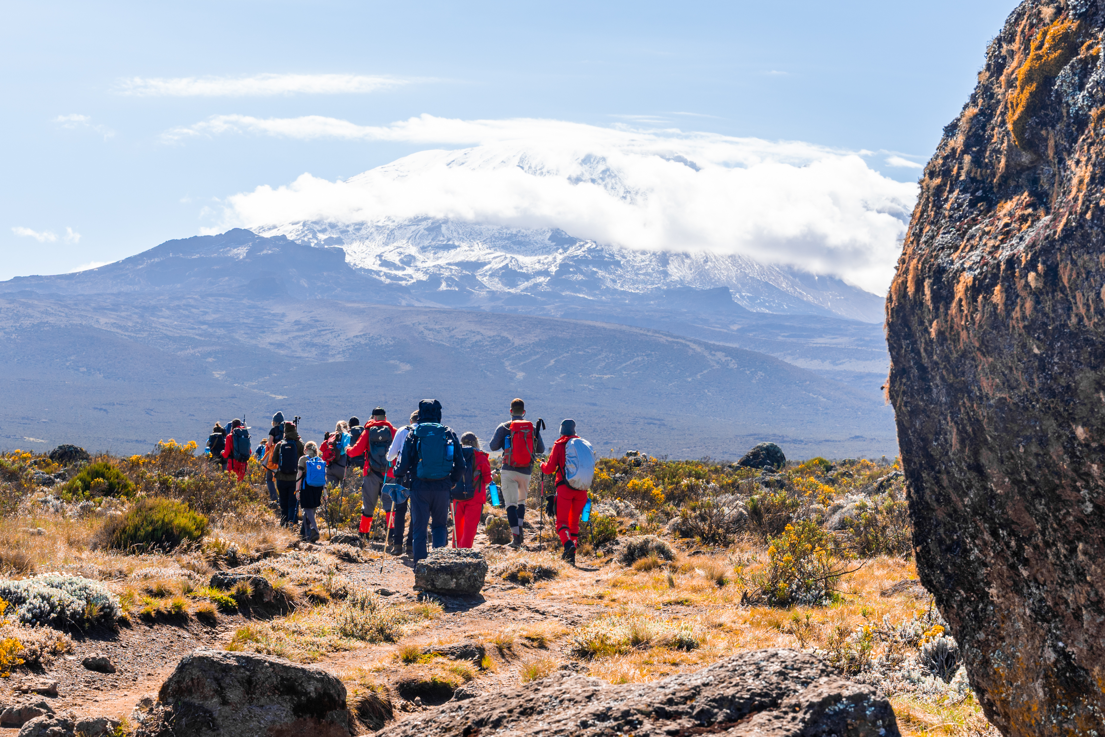 Kilimanjaro-toppen ved daggry